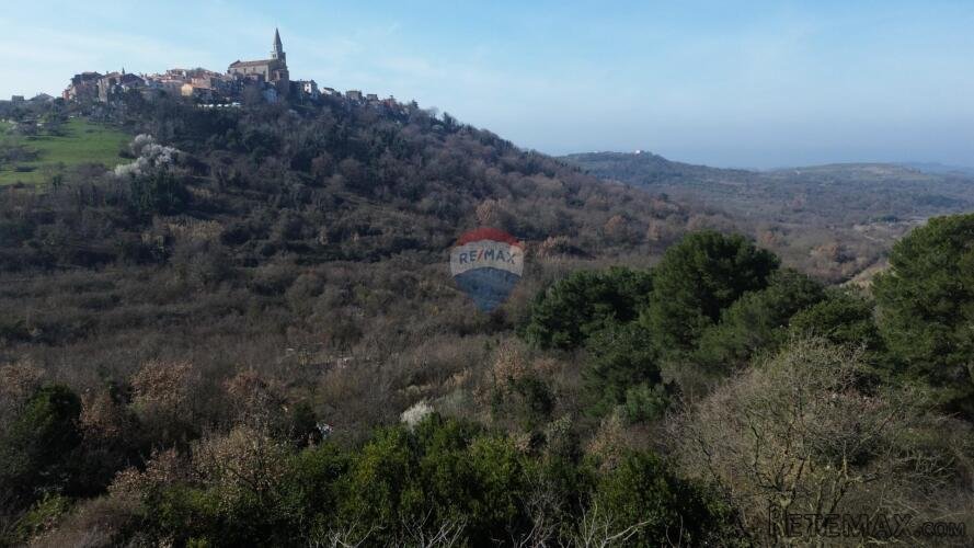 Istra, Buje - Atraktivno građevinsko zemljište za višestambe