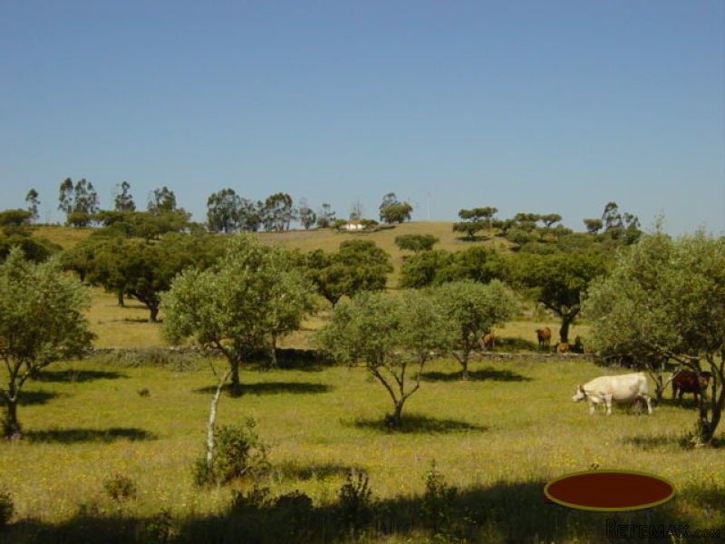 4 Bedrooms - Land Or Ruin - Beja - For..