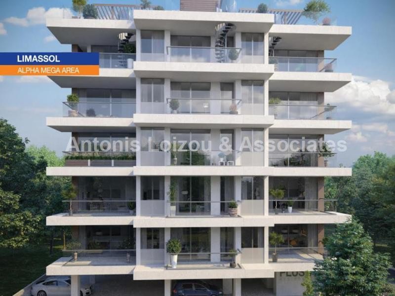 One Bedroom Apartment - 2