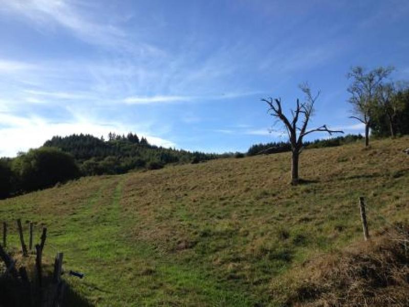 House in Superb Countryside Location - 2