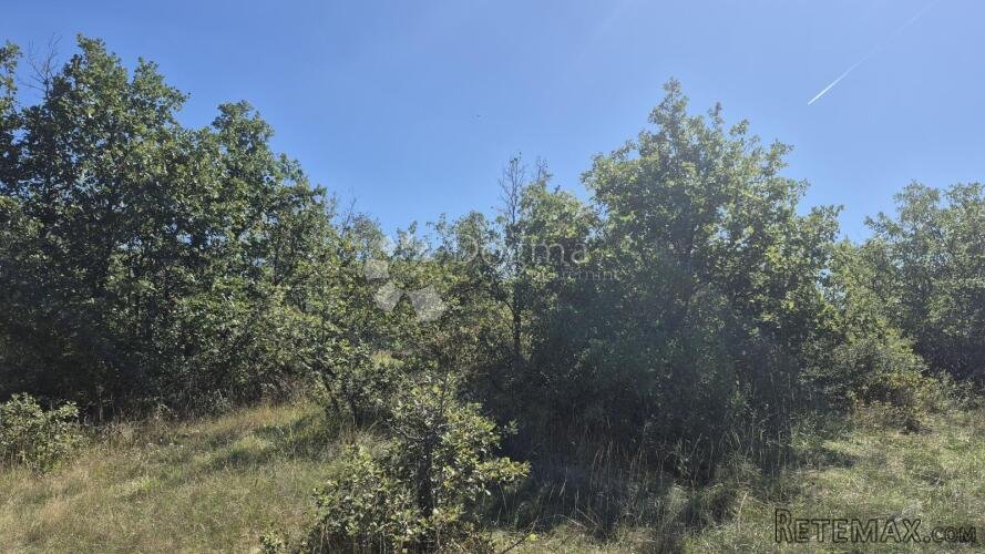 Poljoprivredno zemljište nedaleko istarskog y 2913 m2 - 2