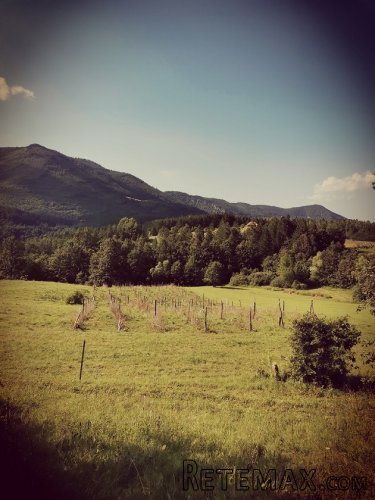 Prodaja zemljista planina Tara - 2