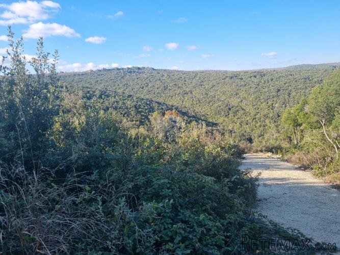 Istra, Peruški poljoprivredno zemljište 597 - 3
