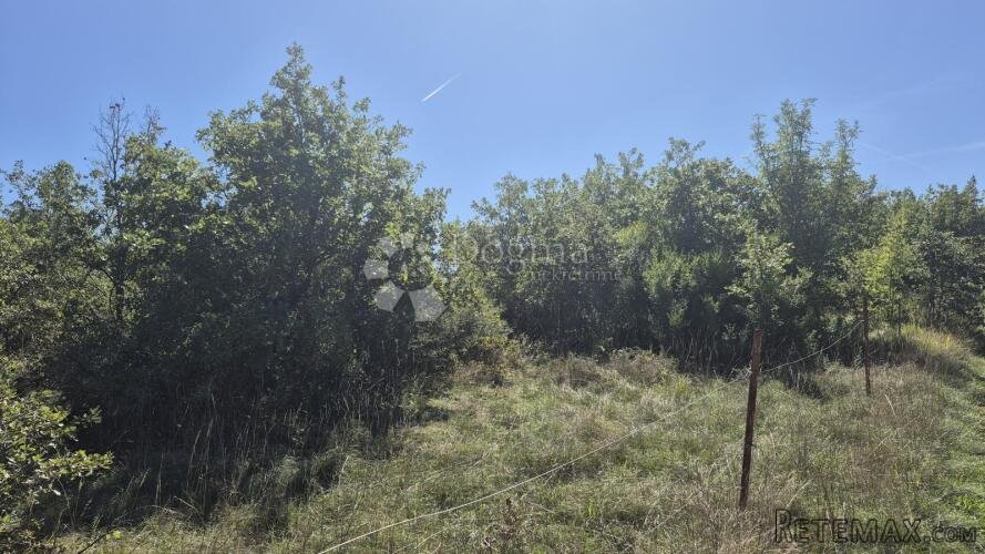 Poljoprivredno zemljište nedaleko istarskog y 2913 m2 - 3