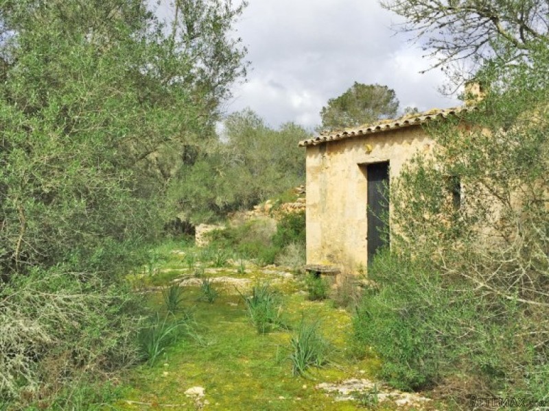 Land With Ruin And High Privacy In..