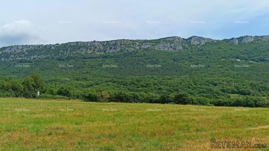 Građevinsko zemljište 1.650 m² – Buzet, Istra - 3