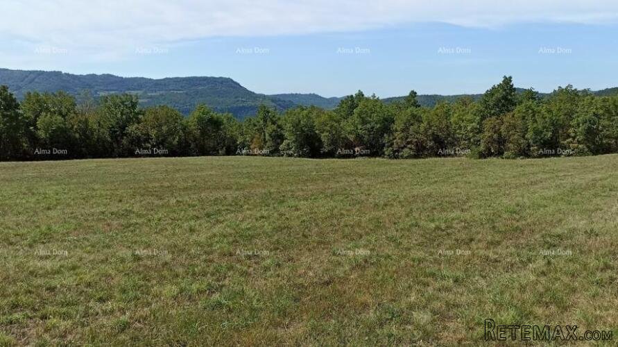 Građevinsko zemljište 1.650 m² – Buzet, Istra - 4
