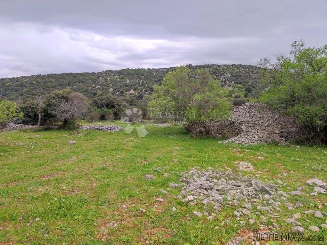 Brač, Selca – poljoprivredno zemljište 11.274 m² - 2