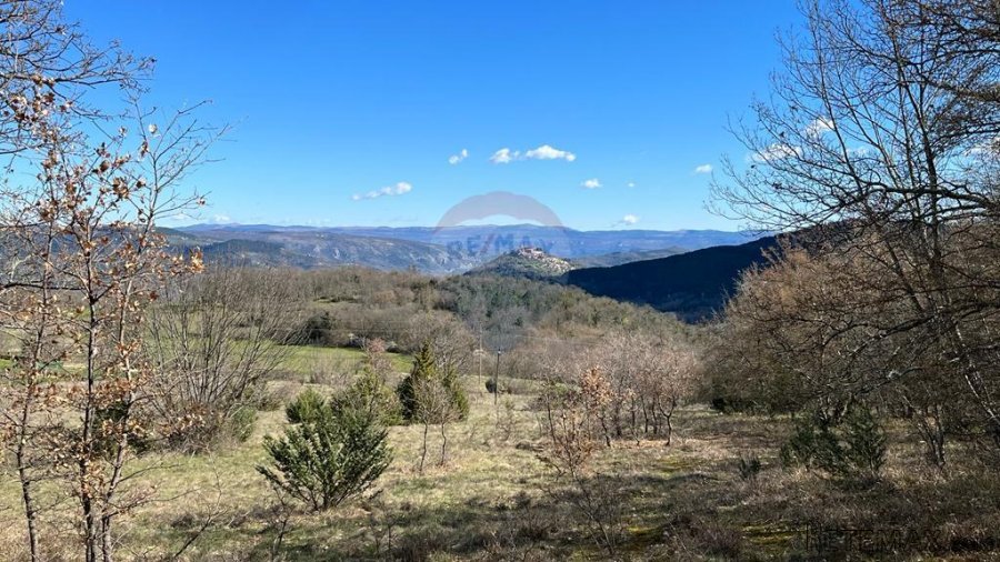 Motovun - okolica, poljoprivredno zemljište na izuzetnoj lok - 2