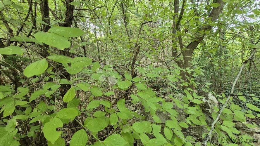 Poljoprivredno zemljište 11.980 m2, 600 m od mora - 2
