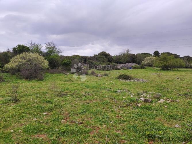 Brač, Selca – poljoprivredno zemljište 11.274 m² - 3