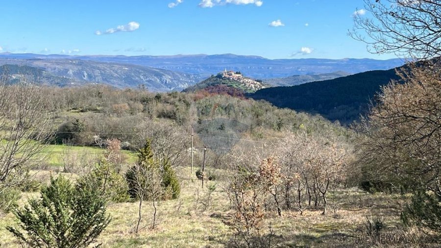 Motovun - okolica, poljoprivredno zemljište na izuzetnoj lok - 3