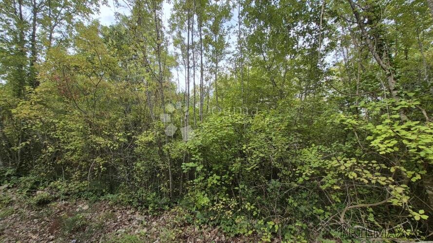 Poljoprivredno zemljište 11.980 m2, 600 m od mora - 3