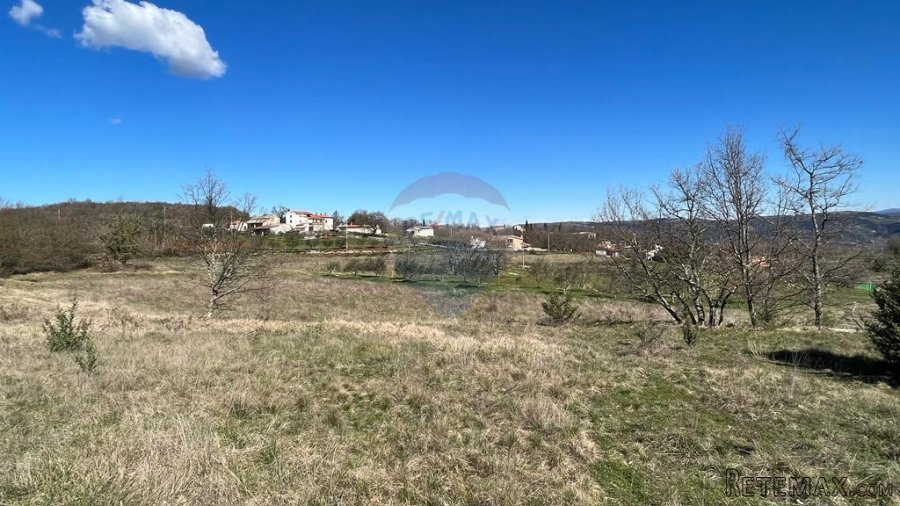 Motovun - okolica, poljoprivredno zemljište na izuzetnoj lok - 4