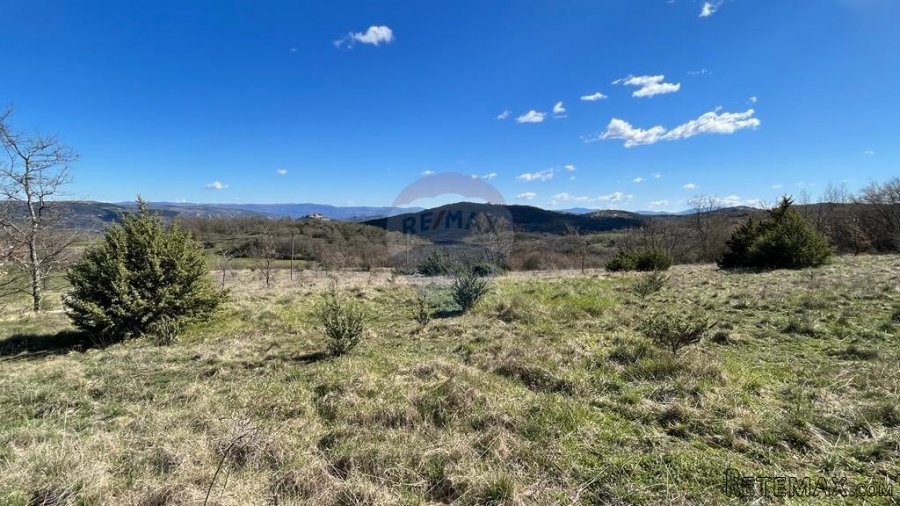 Motovun - okolica, poljoprivredno zemljište na izuzetnoj lok - 7