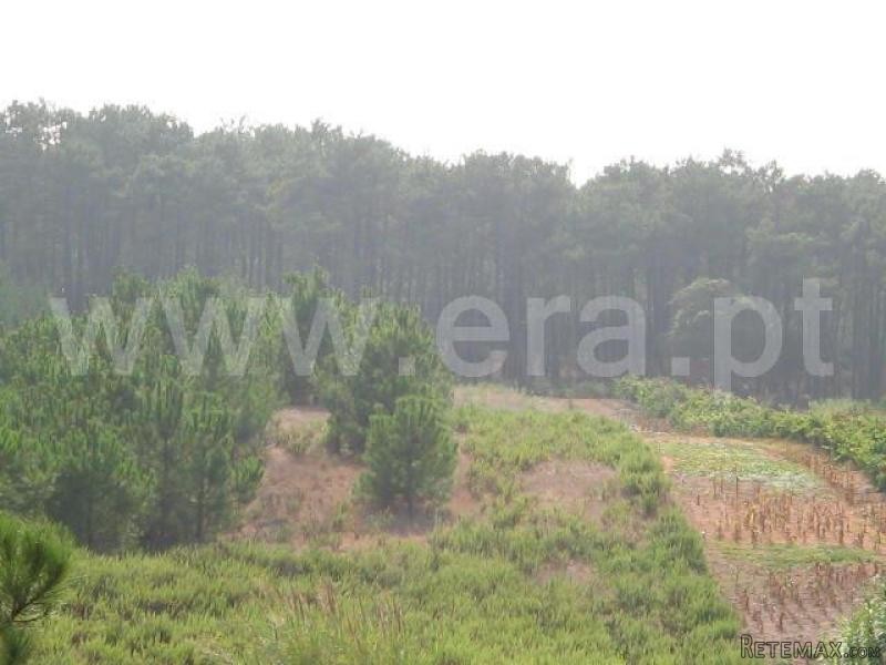 Plot, Peniche, Casais De Mestre Mendo