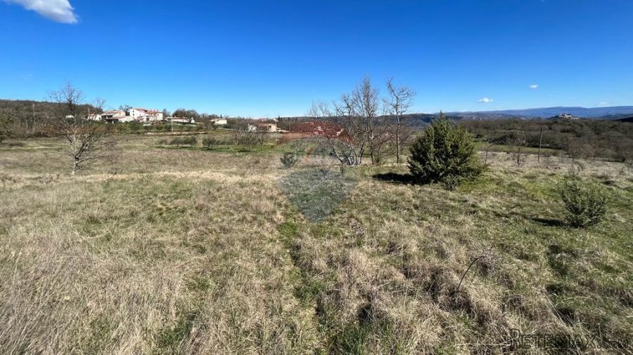 Motovun - okolica, poljoprivredno zemljište na izuzetnoj lok - 8