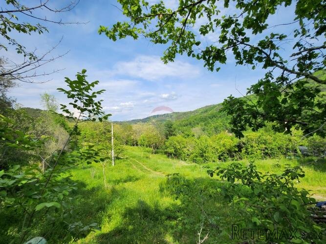 Istra, Sovinak, Sirotići - ne građevinsko zemljište 2,00 ha