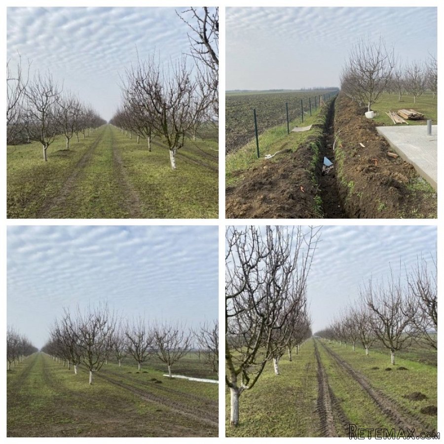 Plac 135ari i montazna kuca-Ugrinovci - 4
