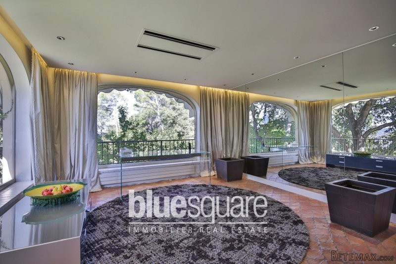 Exceptional domain in MOUGINS - 2