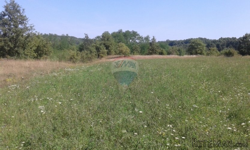 Gračišće, poljoprivredno zemljište u okolici Gračišća - 2
