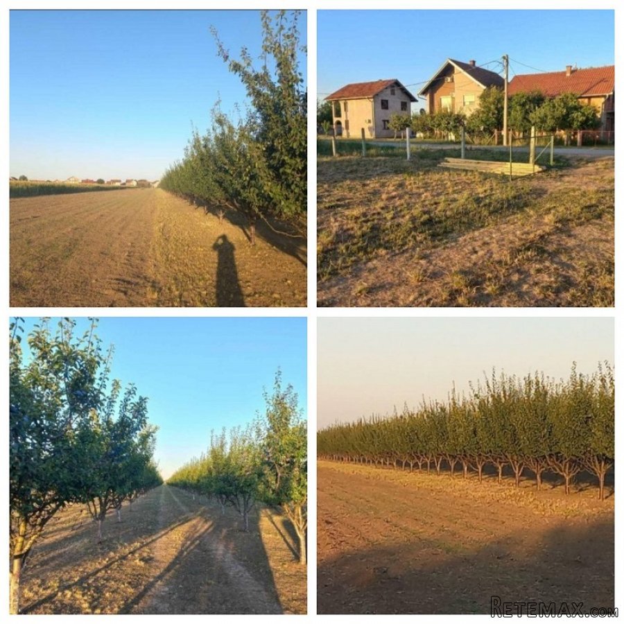 Plac 135ari i montazna kuca-Ugrinovci - 5