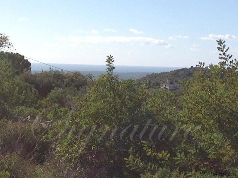 Plot For Sale: Santa Barbara de Nexe..
