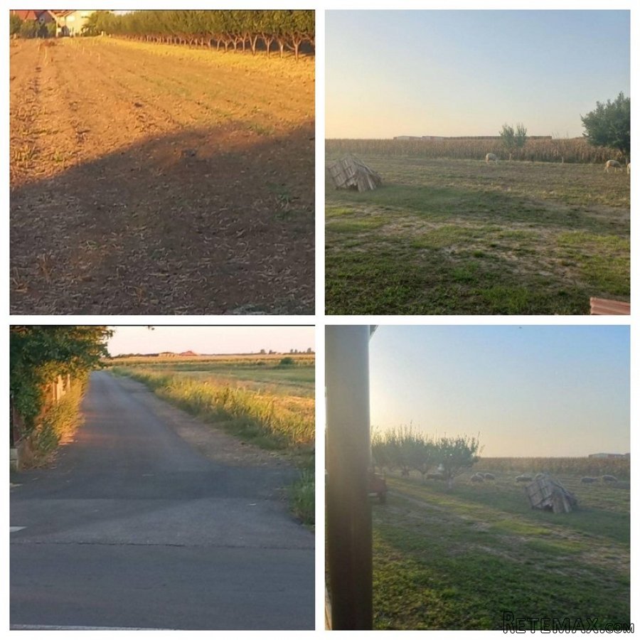 Plac 135ari i montazna kuca-Ugrinovci - 6