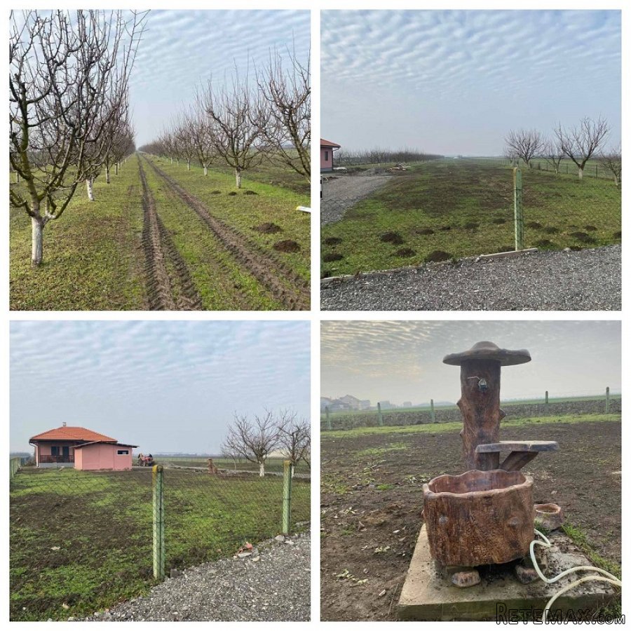 Plac 135ari i montazna kuca-Ugrinovci - 7