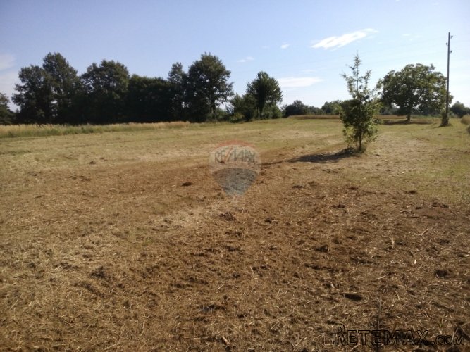 ISTRA, BARBAN GRAĐEVINSKO ZEMLJIŠTE - 2