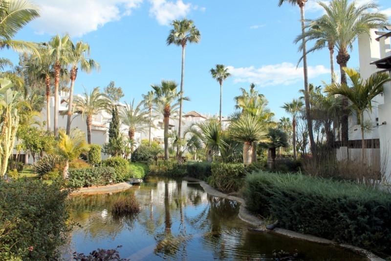 Front Line Beach Apartment in Ventura..