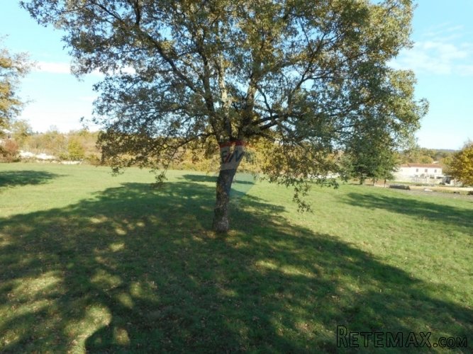 KRINGA : U SRCU ZELENE ISTRE PRODAJE SE GRAĐEVINSKO... - 4