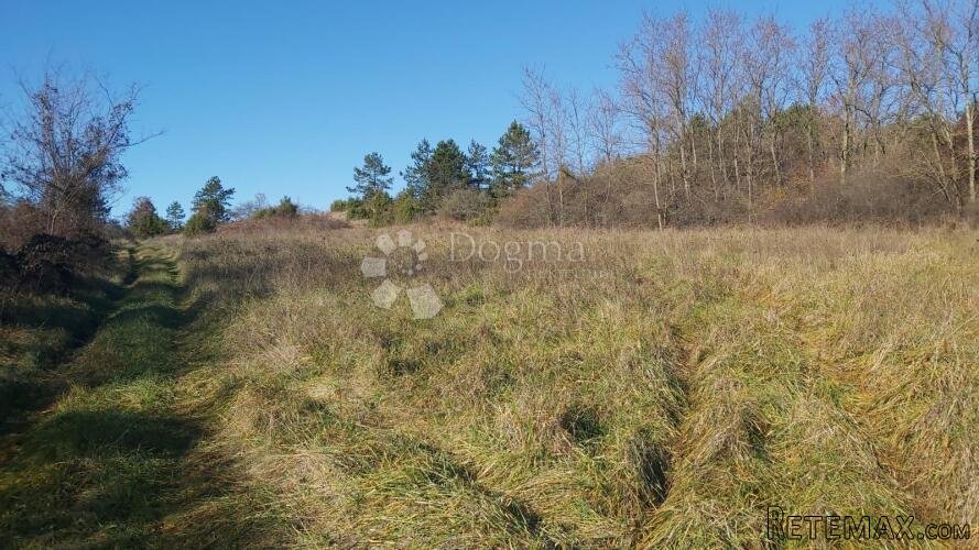 TRVIŽ, prostrano poljoprivredno zemljište