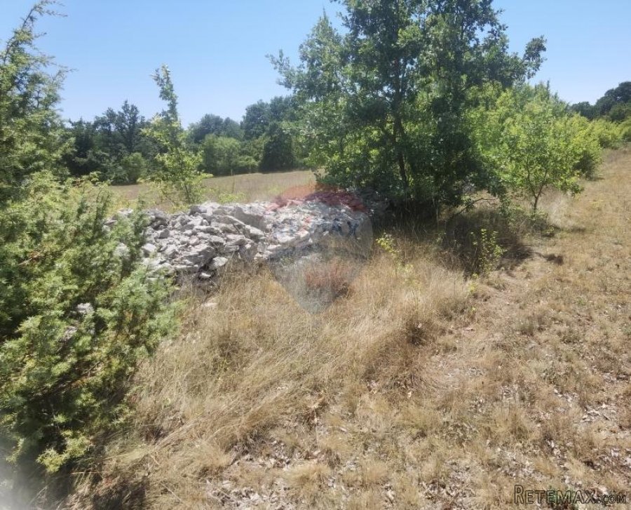 ISTRA,REŽANCI -Zemljište 6500m2 - 2