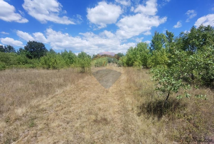 ISTRA,REŽANCI -Zemljište 6500m2 - 3