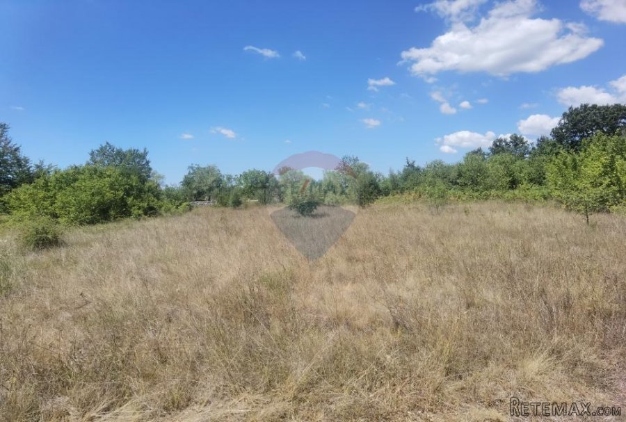 ISTRA,REŽANCI -Zemljište 6500m2 - 4