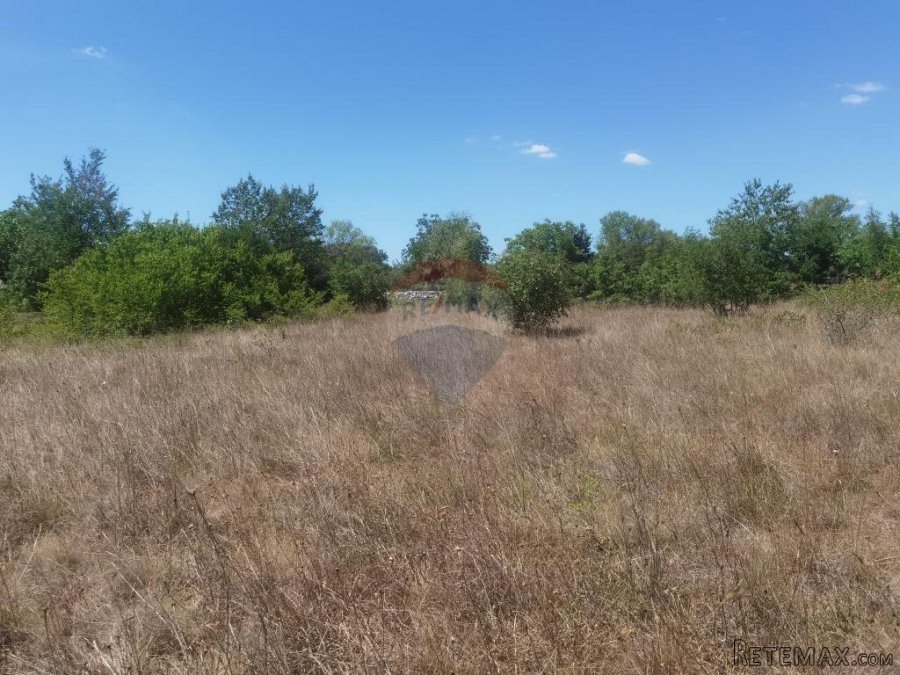 ISTRA,REŽANCI -Zemljište 6500m2 - 5
