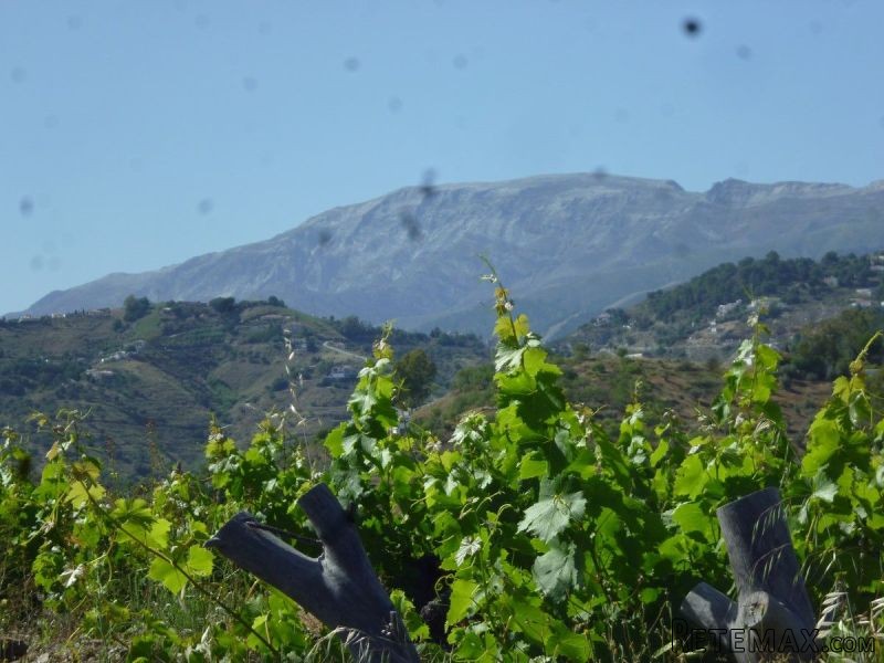 2 Bedrooms - Country House - Malaga -.. - 2