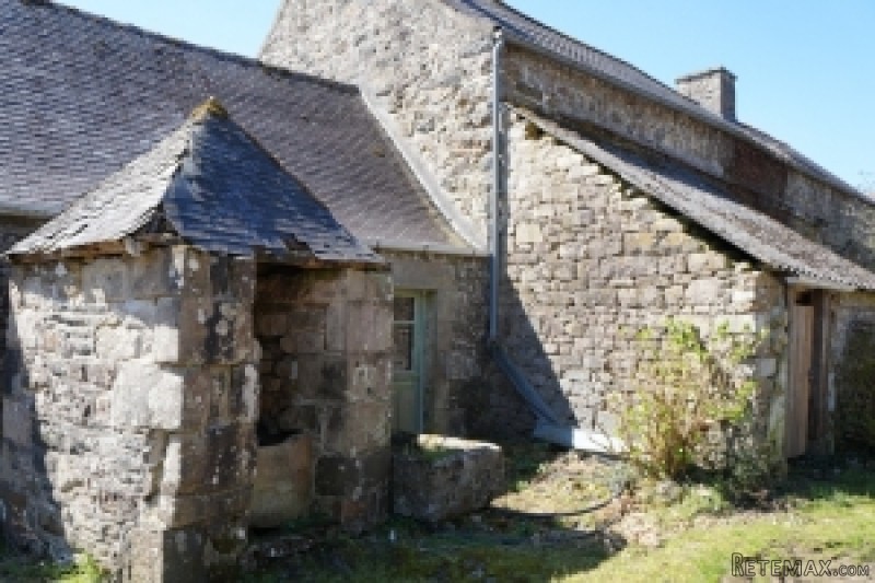 Large Rural Property to Restore - 2