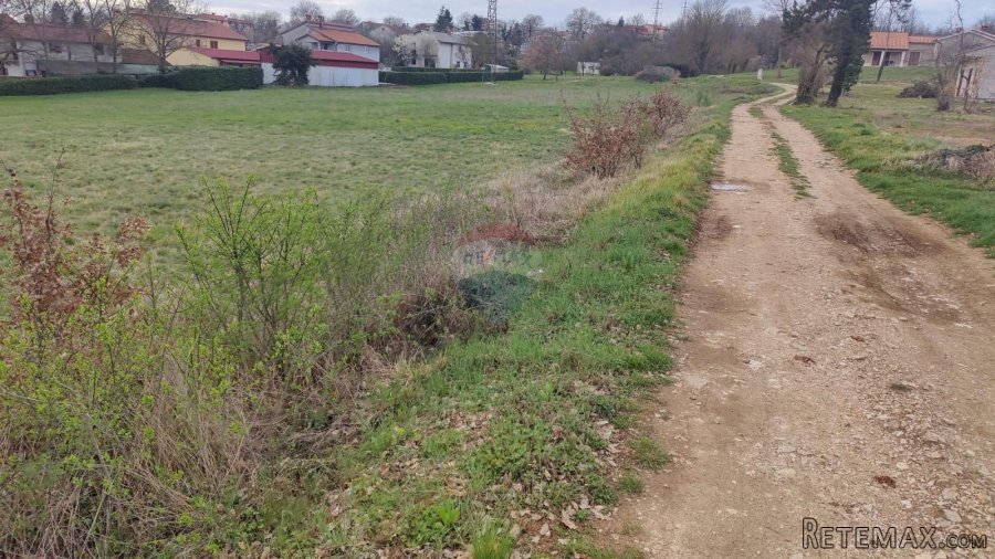 Istra, Karojba - Građevinsko zemljište u okolici Karojbe - 3