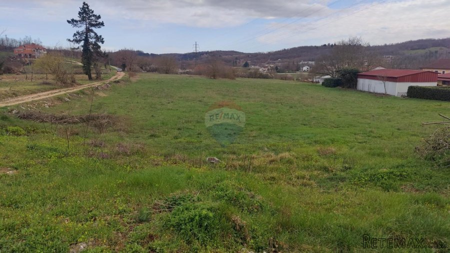 Istra, Karojba - Građevinsko zemljište u okolici Karojbe - 4