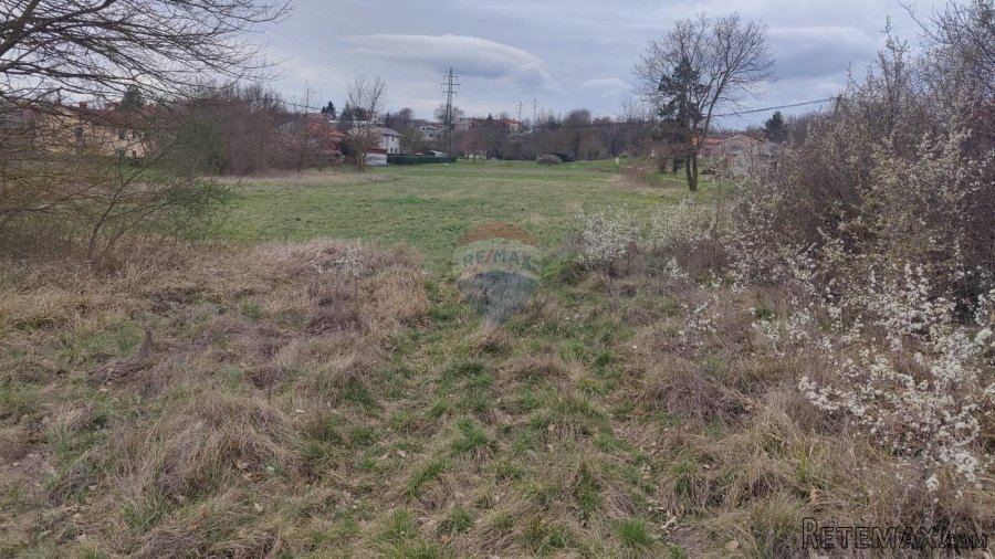 Istra, Karojba - Građevinsko zemljište u okolici Karojbe - 5