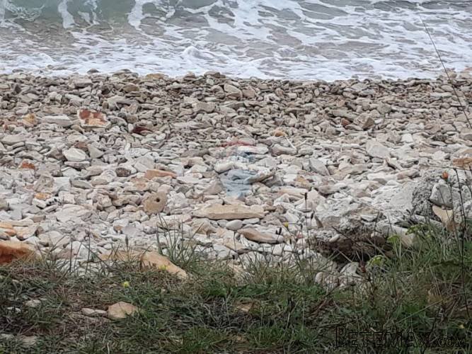 Istra, Peroj, prekrasno vikend zemljište 80 m od mora - 5