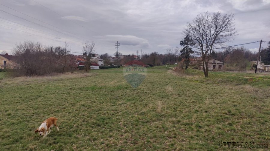 Istra, Karojba - Građevinsko zemljište u okolici Karojbe - 6