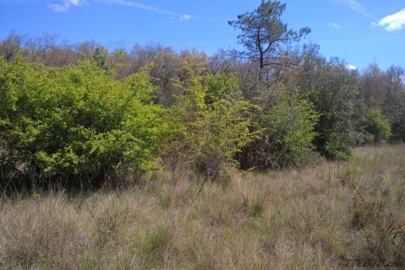 Land with 3 hectares with viability of.. - 2