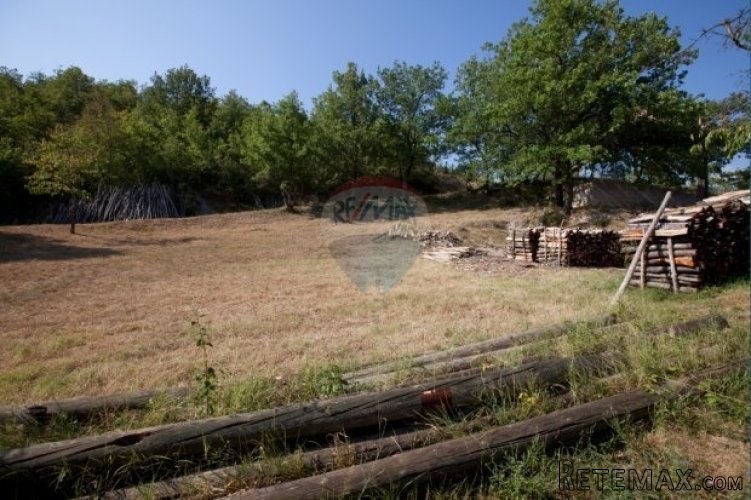 Oaza mira pored Draguća - 3