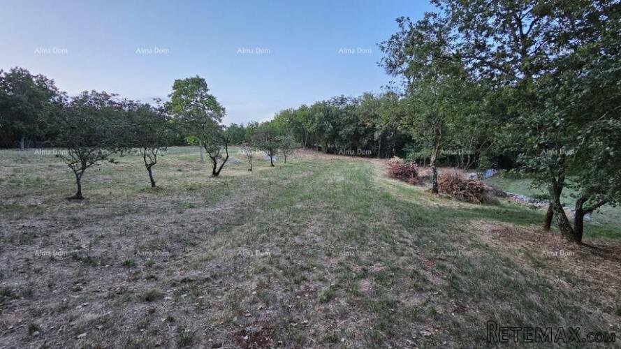 TINJAN - Građevinsko zemljište 3.623 m² - 2