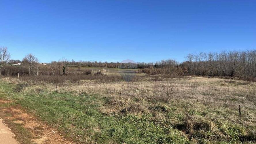 Istra, Kaštelir, poljoprivredno zemljište 8929 m2 - 3