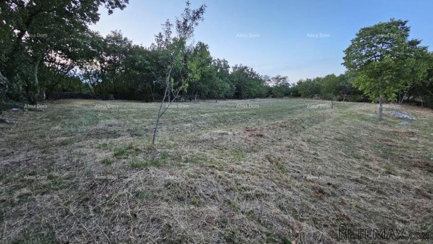TINJAN - Građevinsko zemljište 3.623 m² - 3