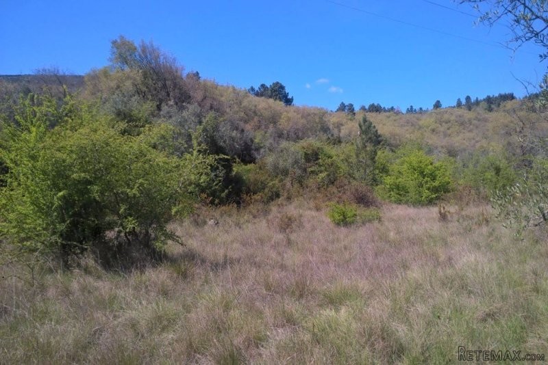 Land with 3 hectares with viability of..